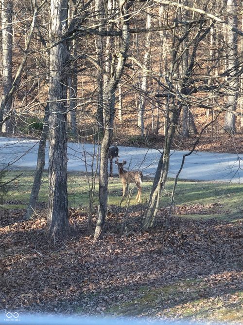 5824 S Poplar Grove Rd, Columbus, IN, 47201-9421 | Card Image