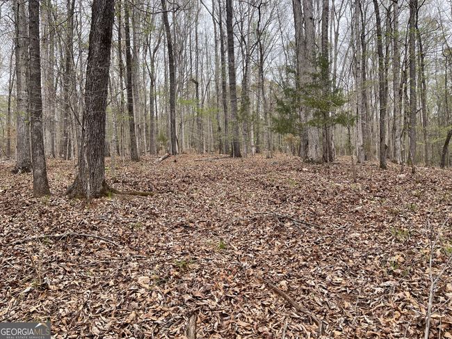 0 Green Oak Cir, Home with 0 bedrooms, 0 bathrooms and null parking in Thomaston GA | Image 14
