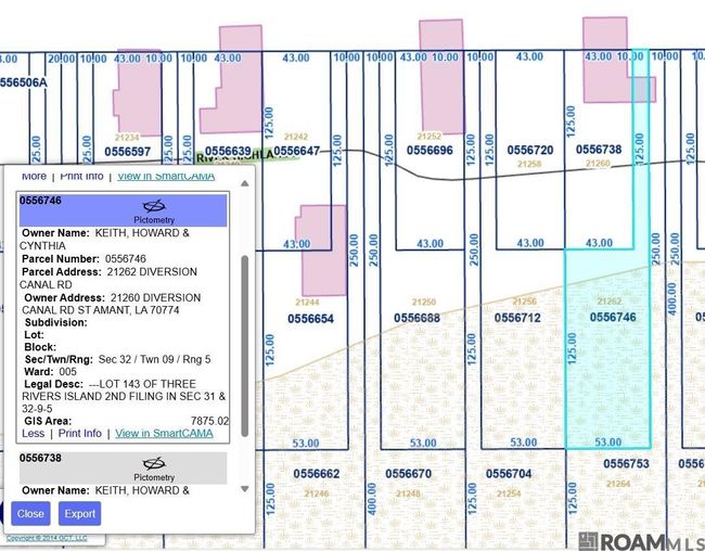 21260 Diversion Canal Rd, House other with 2 bedrooms, 2 bathrooms and null parking in Maurepas LA | Image 36