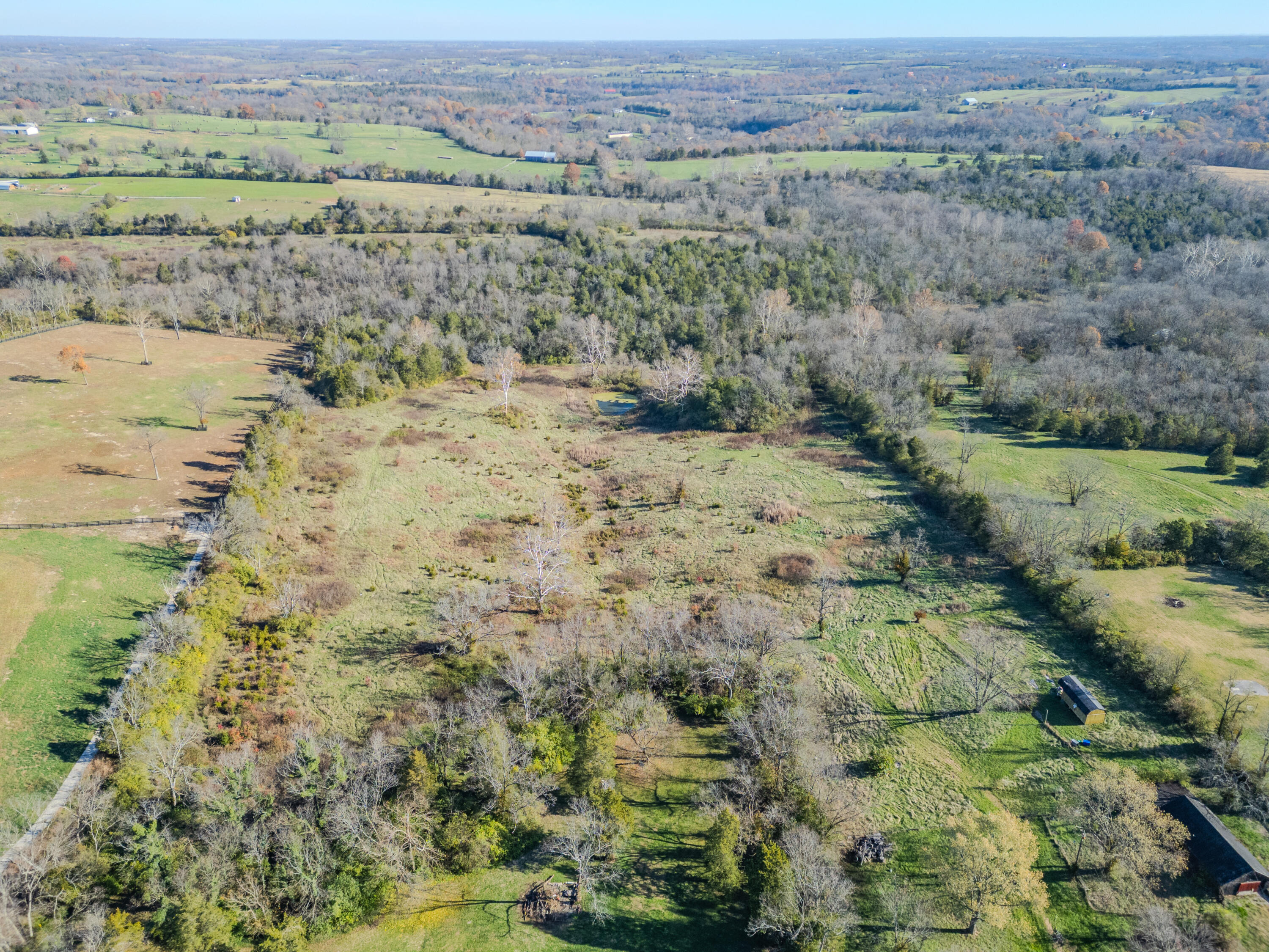 Residential in Lexington 5
