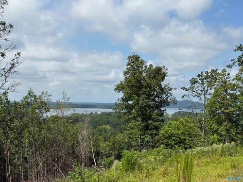 5-Lot 5 County Road 1022, Cedar Bluff, AL, 35959-3218 | Card Image