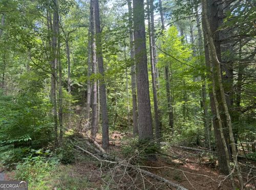 LOT 6 Baker Ln, HIAWASSEE, GA, 30546 | Card Image