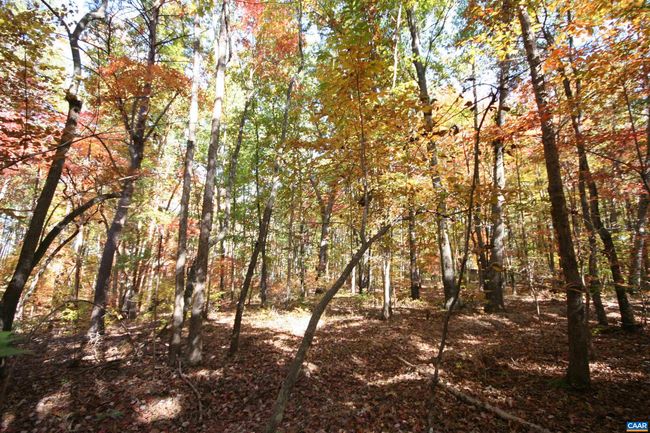 1367 S Constitution Rte, House other with 4 bedrooms, 1 bathrooms and null parking in DILLWYN VA | Image 46
