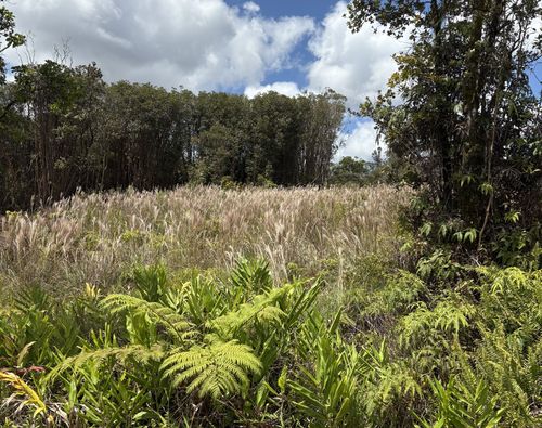 18-4165 Haumalu St, VOLCANO, HI, 96785 | Card Image