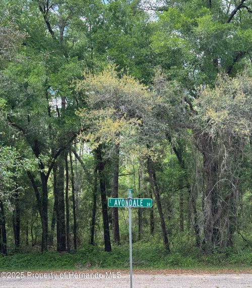 455 E Avondale Dr, Dunnellon, FL, 34434 | Card Image