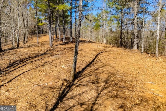 0 County Road 269, Home with 0 bedrooms, 0 bathrooms and null parking in Wedowee AL | Image 4