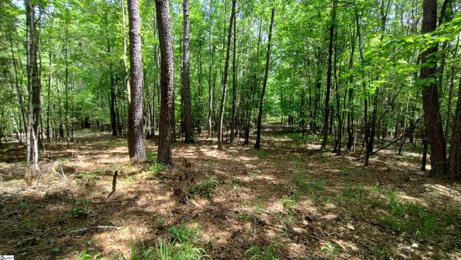00 Fort Lindley Rd, Home with 0 bedrooms, 0 bathrooms and null parking in Laurens SC | Image 8