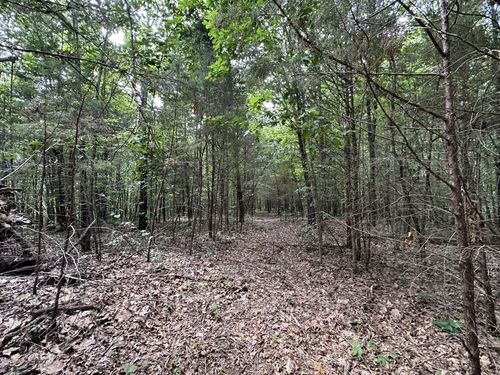 0 Kirby Hill Rd, Ashland City, TN, 37015 | Card Image