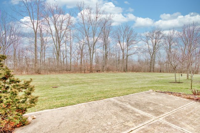 view of back yard from patio | Image 38