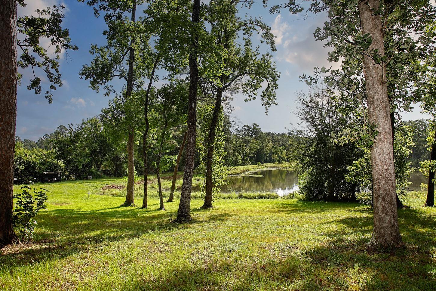 Land in Spring 4