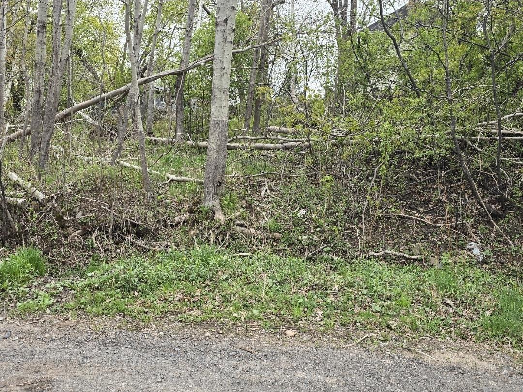 Land in Trenton 3
