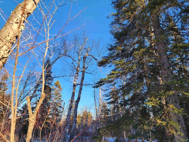 XX-2 Hoaglund Dr, Home with 0 bedrooms, 0 bathrooms and null parking in Tofte MN | Image 6
