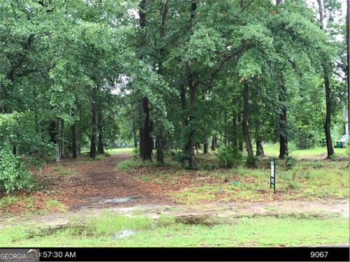 lot-181-0 Winterberry Ct, Townsend, GA, 31331 | Card Image