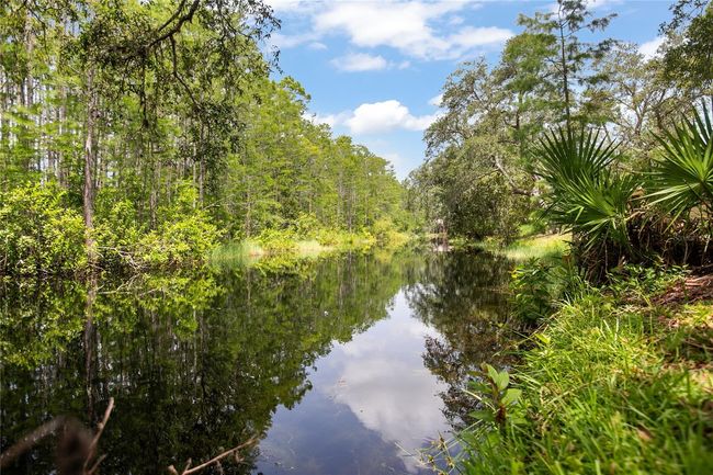 Large Pond with Island / Back Yard | Image 25