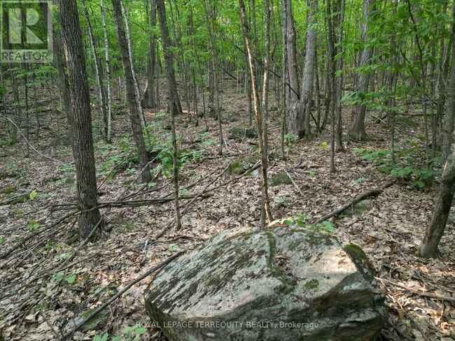 00 Buckslide Rd, Home with 0 bedrooms, 0 bathrooms and null parking in Algonquin Highlands (Stanhope) ON | Image 9