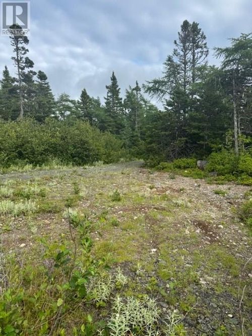 19 Island Pond Rd, Old Shop, NL, A0B2W0 | Card Image