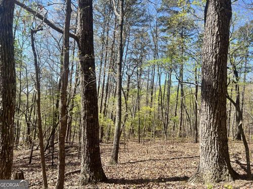 Lot 92 Doll Mountain Road, Ellijay, GA, 30540 | Card Image
