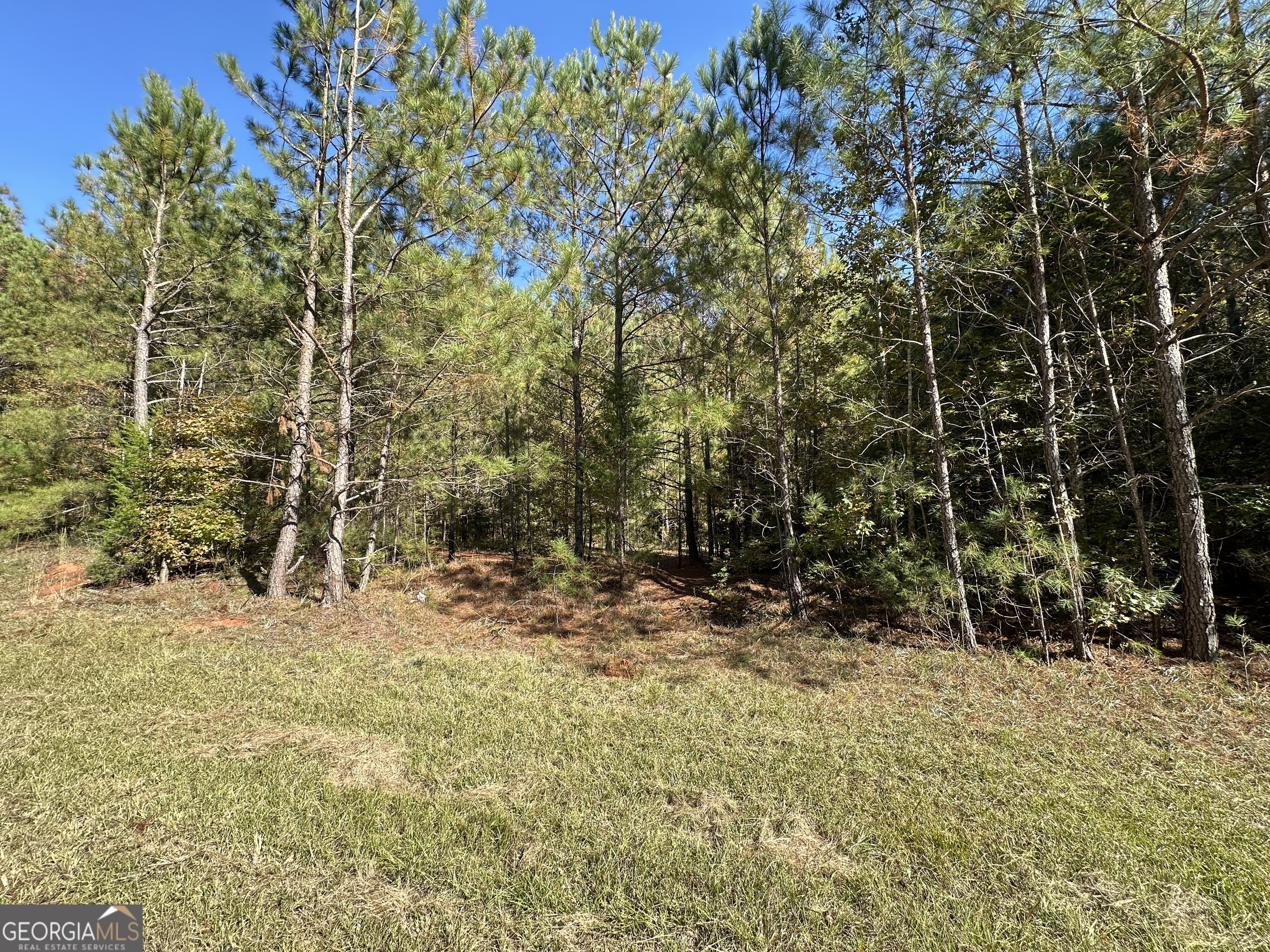 Land in Lincolnton 2