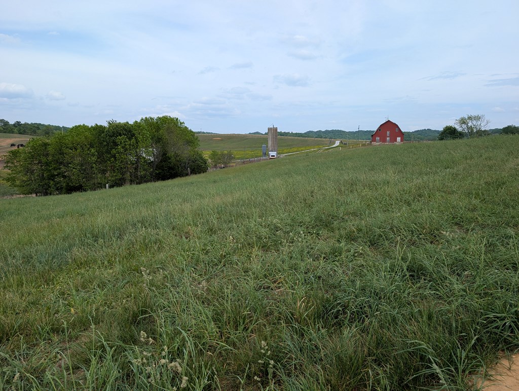 Land in Burkesville 2