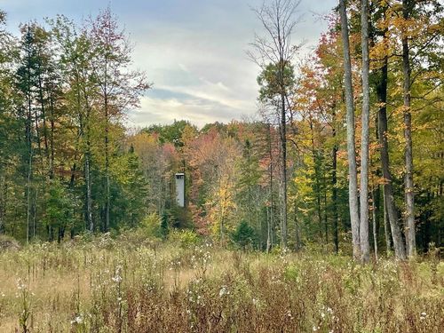 39.76 Acres County Road Z, PLOVER, WI, 54414 | Card Image