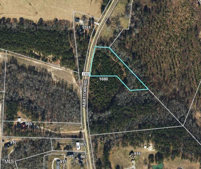 Tract 1A Abattoir Rd Ortho photo | Image 4