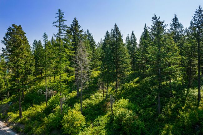 183 Pinto Trl, Home with 0 bedrooms, 0 bathrooms and null parking in Bigfork MT | Image 31