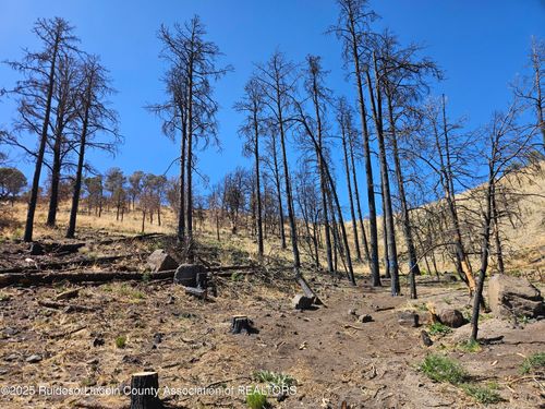 116 Whitney Dr, Ruidoso, NM, 88345-7118 | Card Image