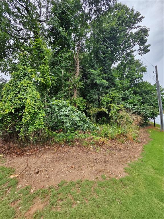Land in Decatur 4