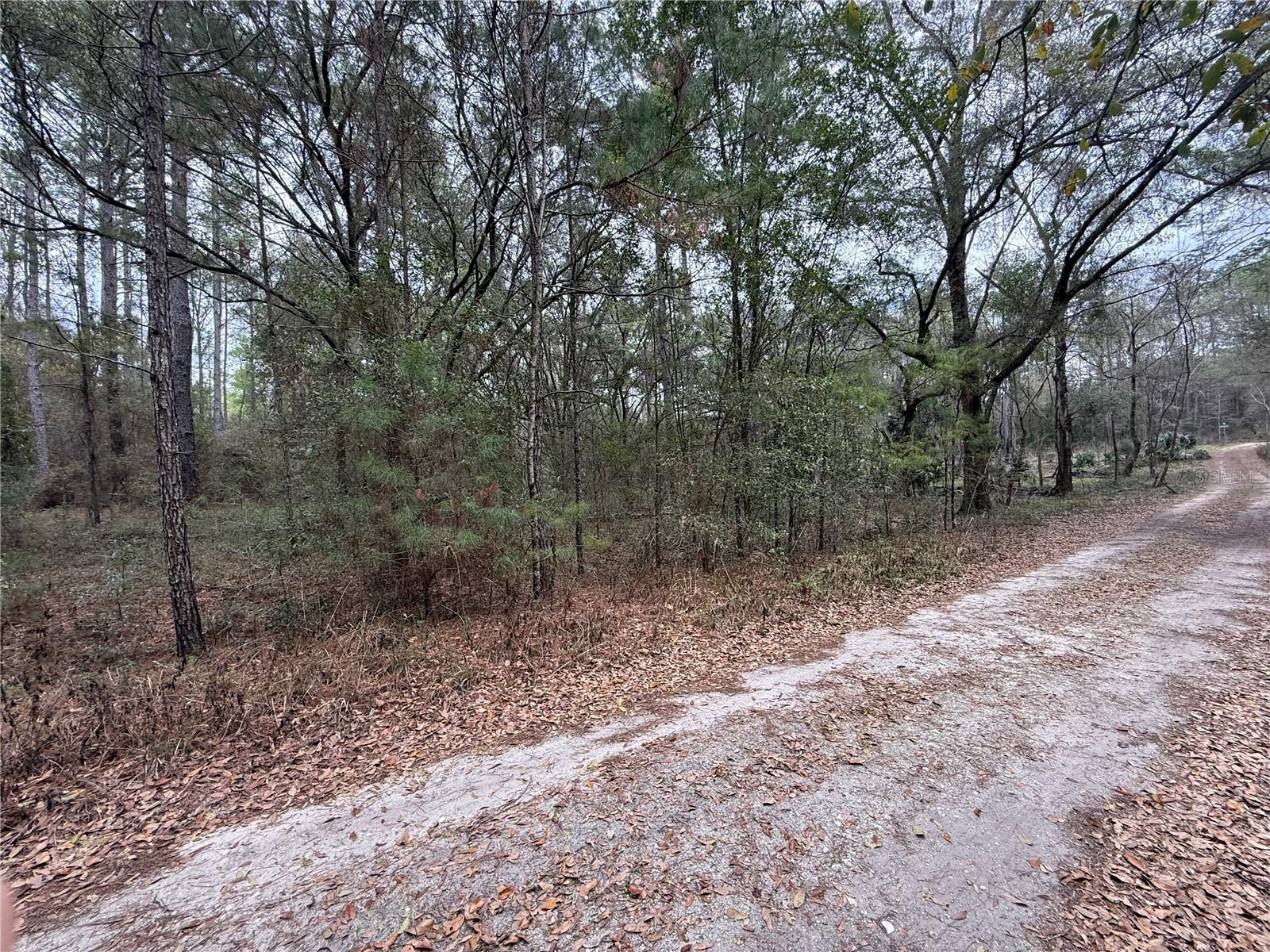 Land in OCALA 3