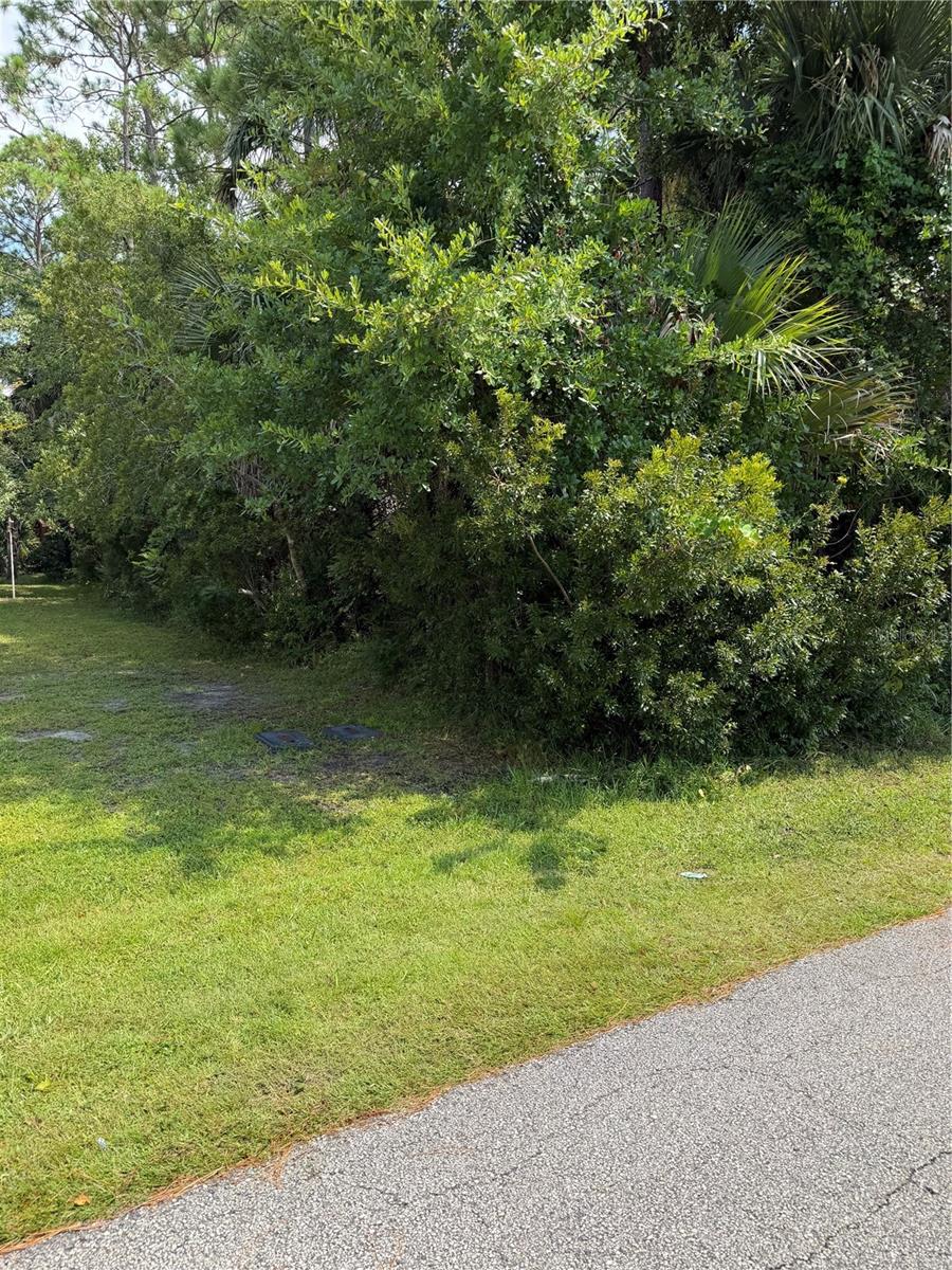 Land in PALM COAST 4