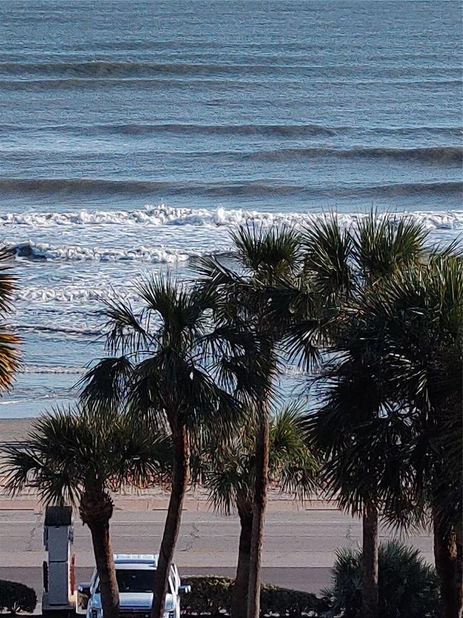APT-630 - 5220 Seawall Blvd, Condo with 1 bedrooms, 2 bathrooms and 1 parking in Galveston TX | Image 4