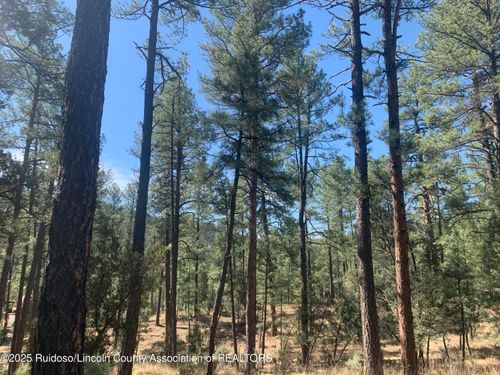 3 Broken Arrow Rd, Ruidoso, NM, 88345 | Card Image