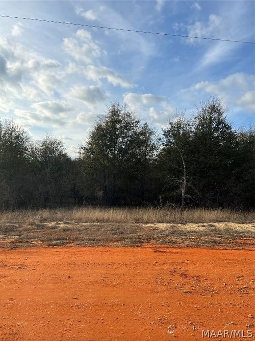 Lot 22 Deer Loop, Camden, AL, 36726 | Card Image