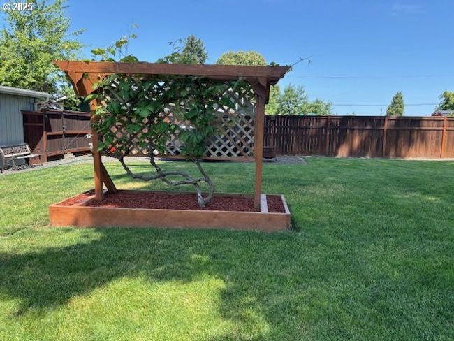 Backyard | Image 29