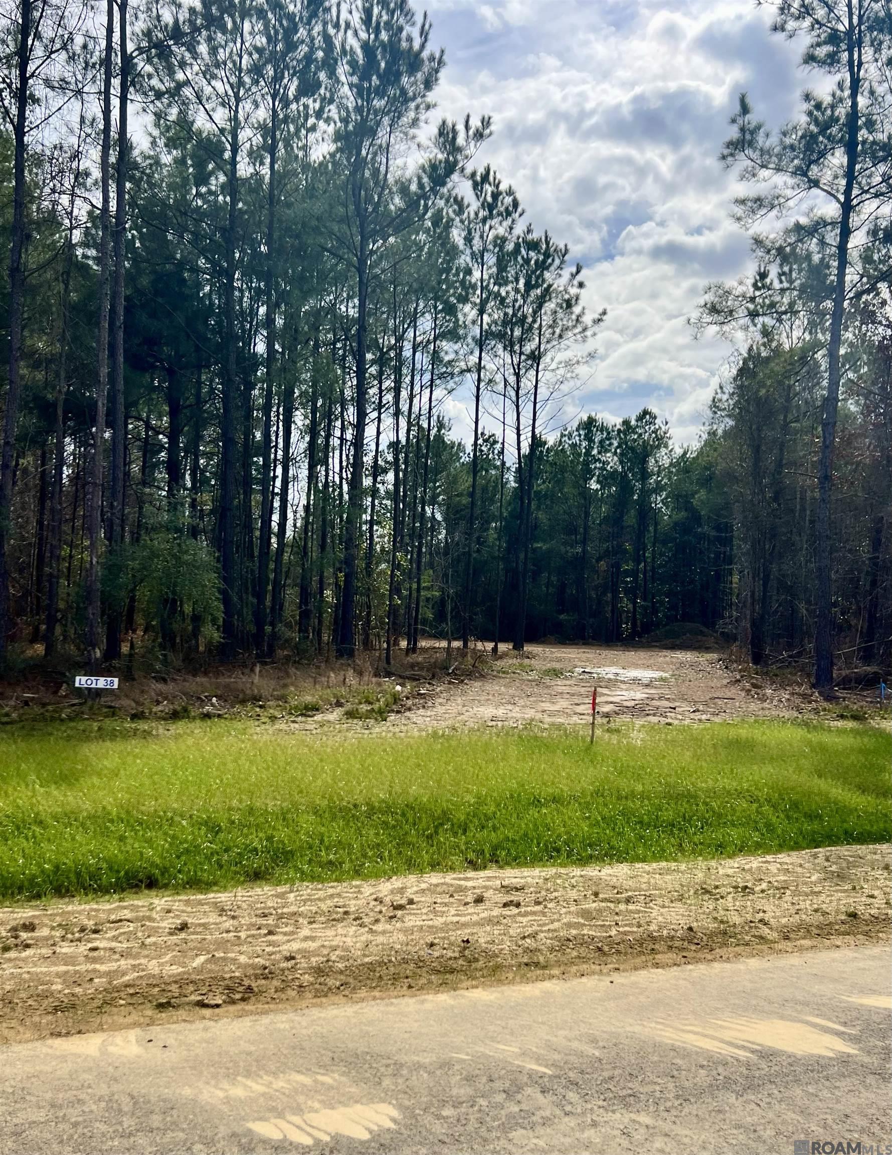 Land in Livingston 3