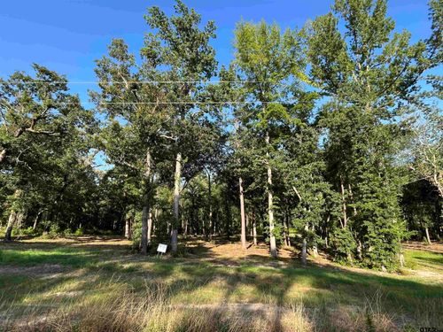 3226 Shadow Pine Dr, LaRue, TX, 75770 | Card Image