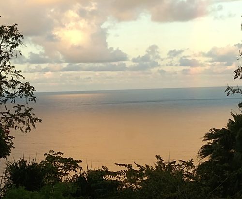 35-2064 Old Mamalahoa Hwy, Laupahoehoe, HI, 96764 | Card Image