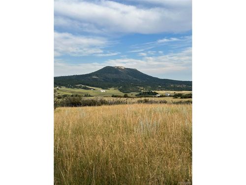 5250 Tall Horse Trl, Sedalia, CO, 80135 | Card Image