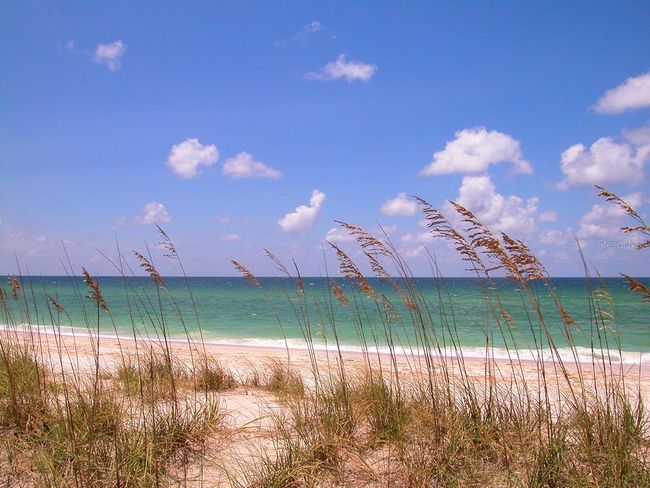 408 - 430 Kumquat Ct, Condo with 2 bedrooms, 3 bathrooms and null parking in SARASOTA FL | Image 8