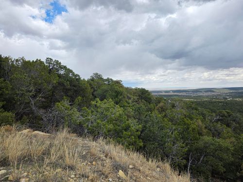 196 Via Sedillo, Tijeras, NM, 87059-7894 | Card Image