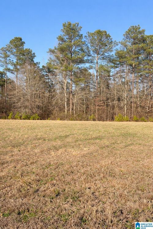 1-Lot 1 County Road 25, Jemison, AL, 35085 | Card Image