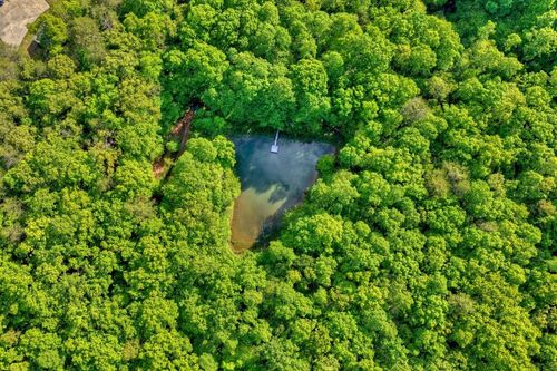 8.52 AC Mcnelley Road, Morganton, GA, 30560 | Card Image