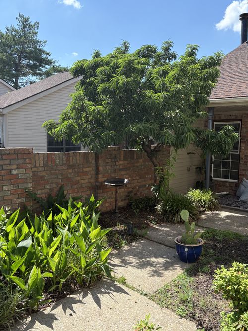 404 Laurel Hill Dr, Old Hickory, TN, 37138-4254 | Card Image