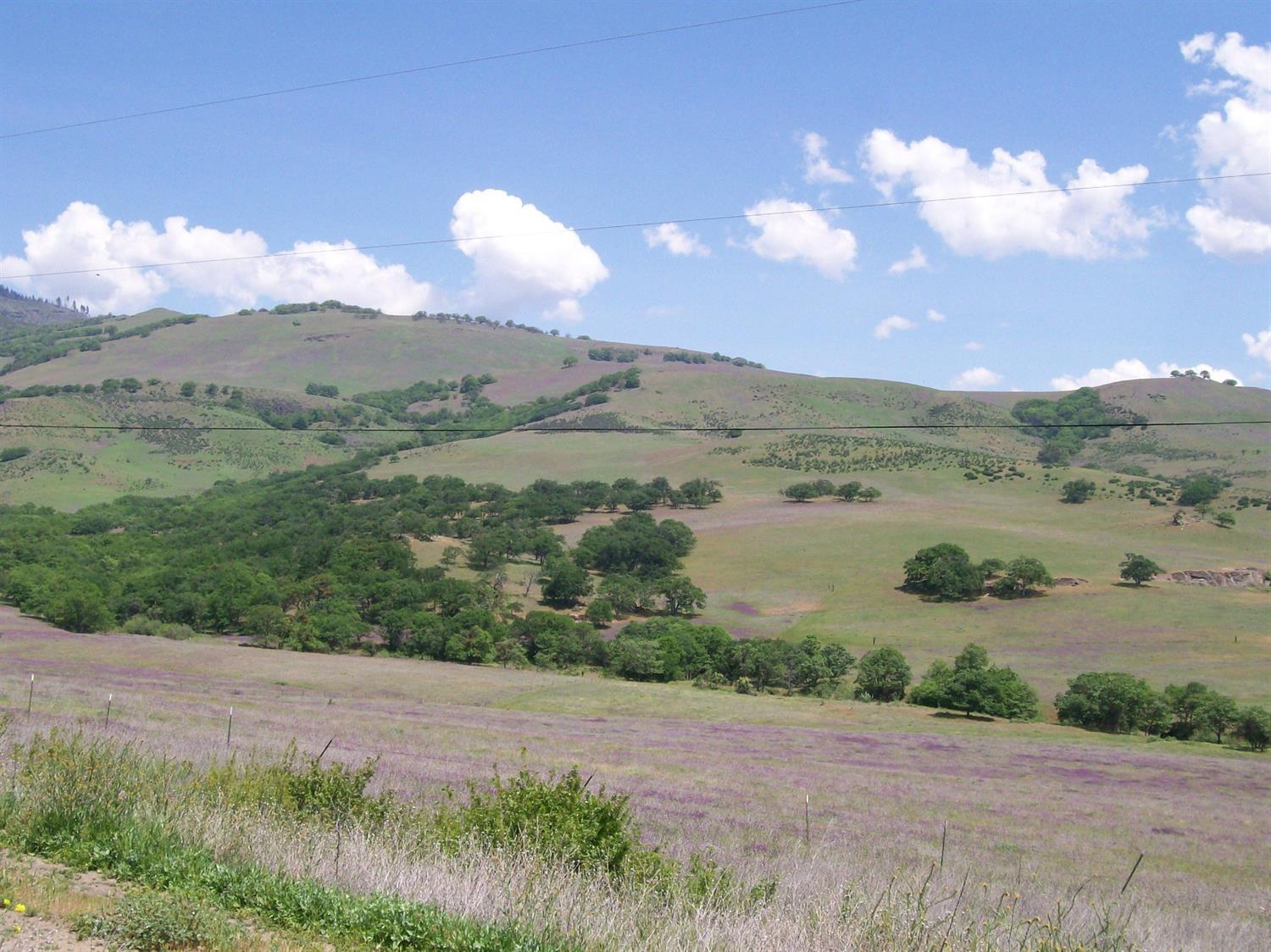 Land in Ashland 5