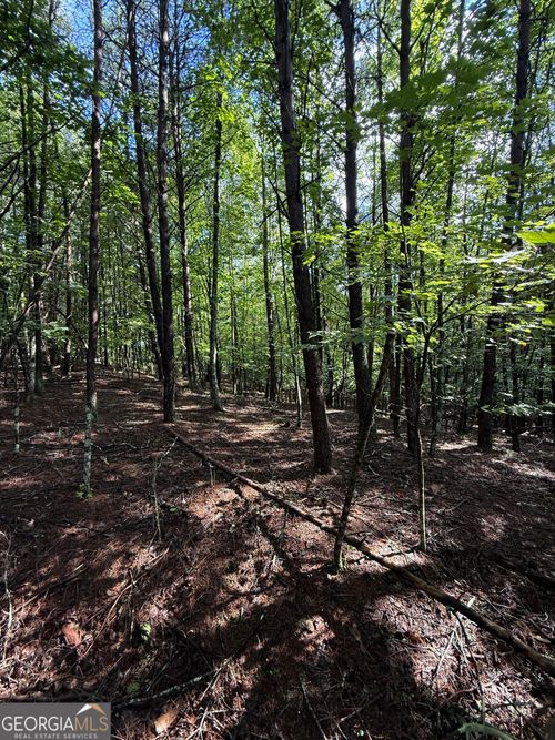 LOT 5 Marci Ln, Sautee Nacoochee, GA, 30571 | Card Image