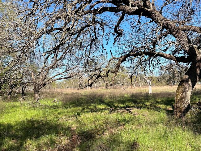 Lot 13 Cr 127, Home with 0 bedrooms, 0 bathrooms and null parking in Carlton TX | Image 12