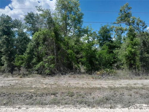 TBD Ne 63rd Pl, WILLISTON, FL, 32696 | Card Image