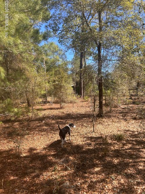 0 Honeysuckle Trl, Hawthorne, FL, 32640 | Card Image