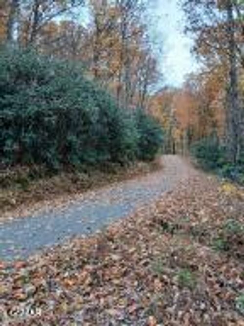 Lot 3 Rocky Ridge Rd, Cosby, TN, 37722 | Card Image