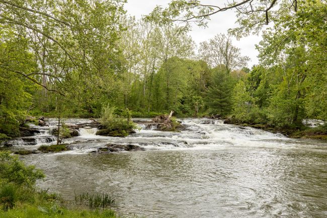 Water view featuring a heavily wooded area | Image 32